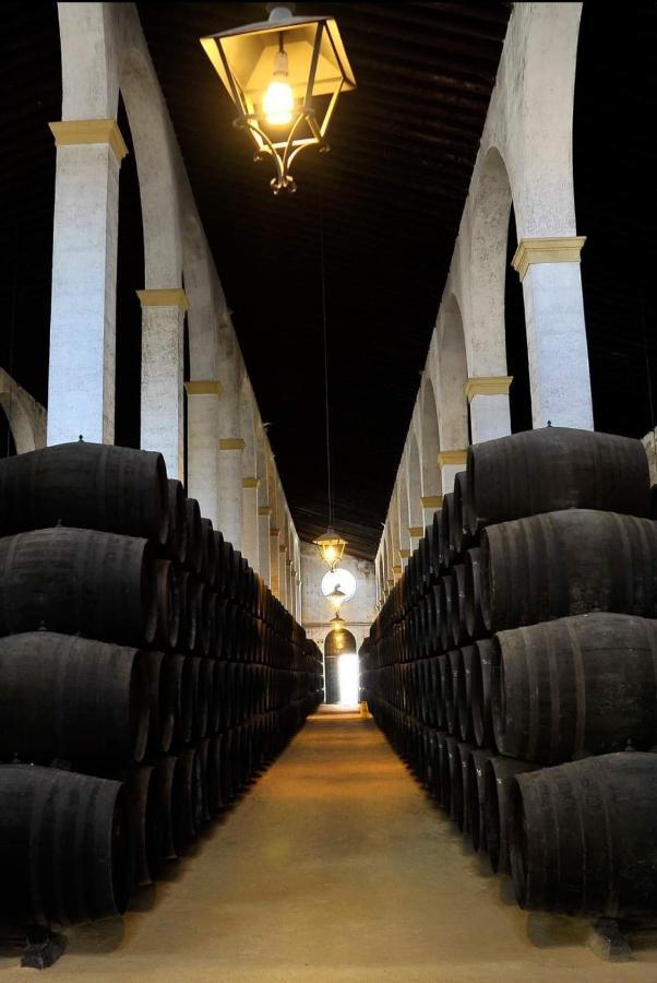 Sherryflat Casa Del Arquitecto Jerez de la Frontera Buitenkant foto